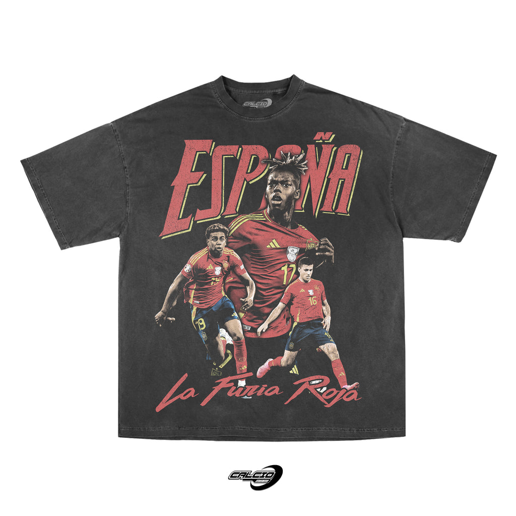 SPAIN EURO CUP (RELOAD)
